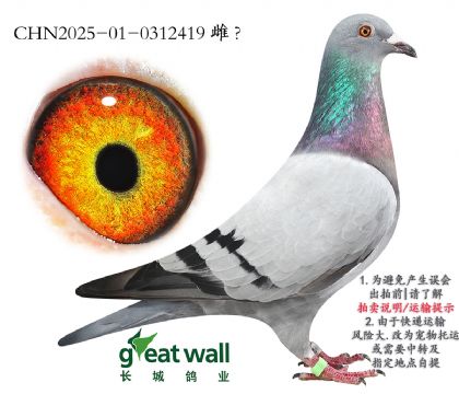 5.Ʌɼ܊Ӵ.0312419