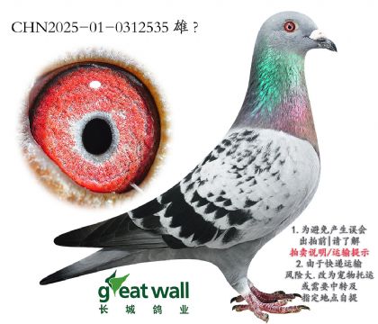 6.o(w)޿܌O.0312535