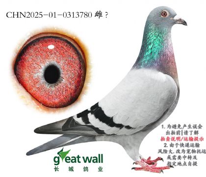 7.r(sh)911ȫӴ.0313780