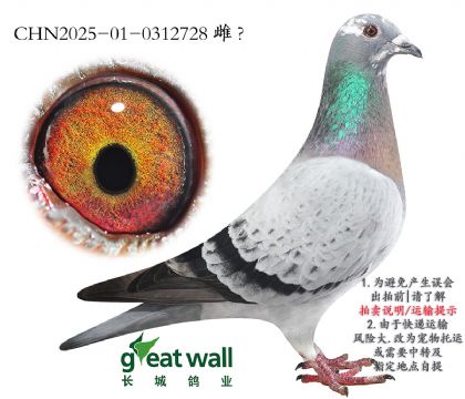 10.r(sh)911ѪO.0312728