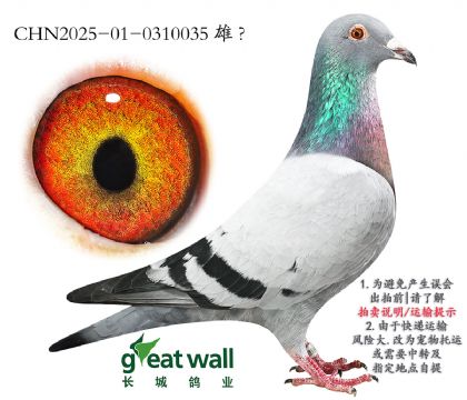 11.ZѪO.0310035