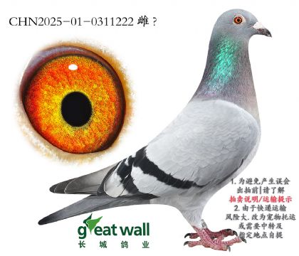 12.ҽؙѪO.0311222