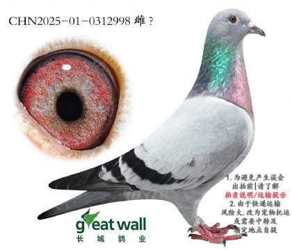 13.r(sh)ݽѪO.0312998