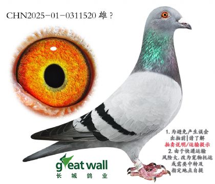 14.᠖˹O.0311520