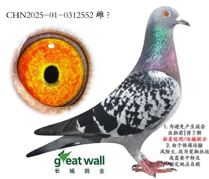 15.wm˹363ѪO.0312552