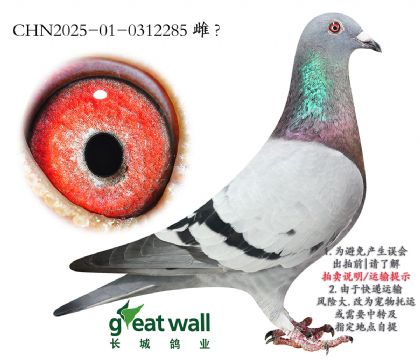 17.(yng)C܊Ӵ.0312285