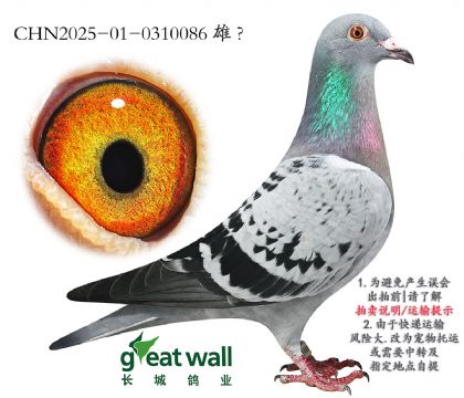 18.D˹Ѫ.0310086