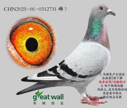 19.ȱݽѪO.0312731