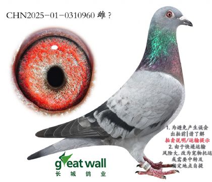 20._(ki)(chung)܊Ӵ.0310960