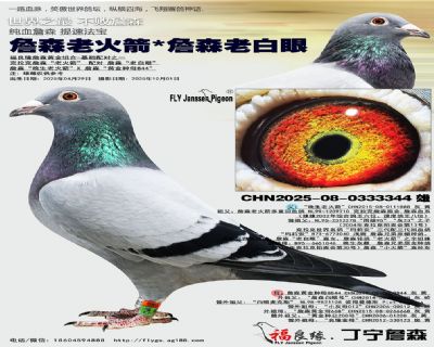 ղɭϻXղɭϰ