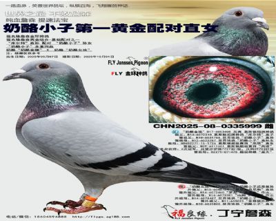 С һS䌦ֱŮ