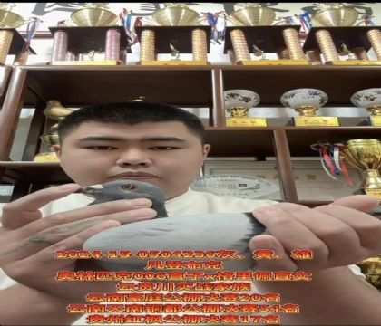 ǲˡWƥ006ֱX塱ֱŮ