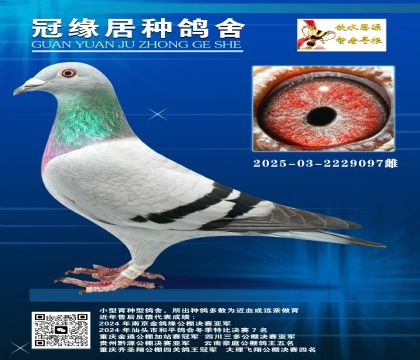 S䌦ֱŮͬĸ2025-03-2229097