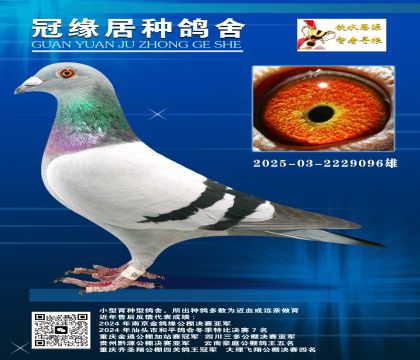 OֱŮ2025-03-2229096
