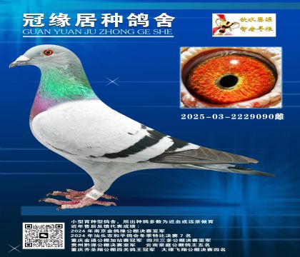 x͛Qِ267ĸHƽ݅2025-03-2229090