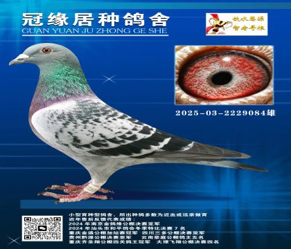 ɹ䌦֮һƽ݅÷N03-2229084