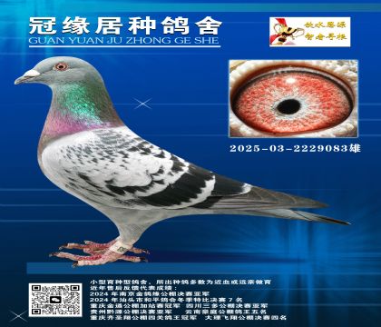 ɹ䌦֮һƽ݅÷N-03-2229083