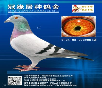 Qِ܊Hƽ݅03-2229081