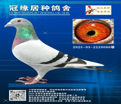 yQِ269ƽ݅hH03-2229080