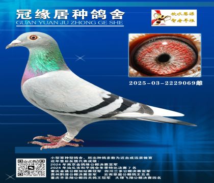 ҶؽH2025-03-2229069