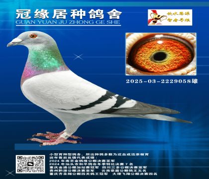 SϿ˽H2025-03-2229058