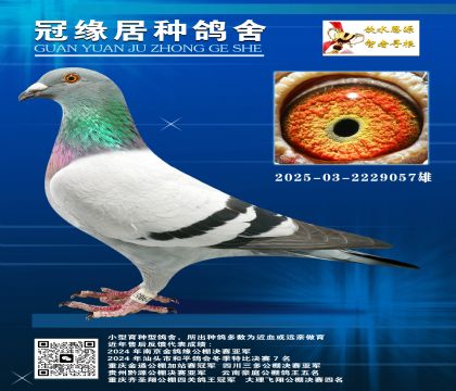 SϿ˽H2025-03-2229057