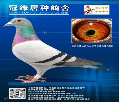 ħg(sh)ȫֵܰͼ{hH2025-03-2229036
