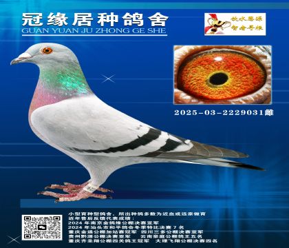 713688ؽH-03-2229031
