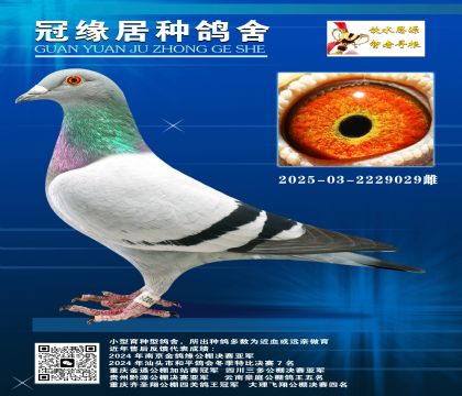 HûѪһS䌦2025-03-2229029