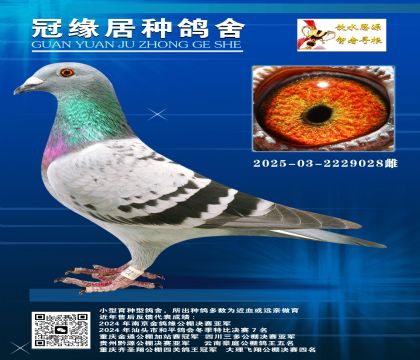 ܊Hƽ݅2025-03-2229028