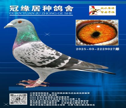 ܊Hƽ݅2025-03-2229027