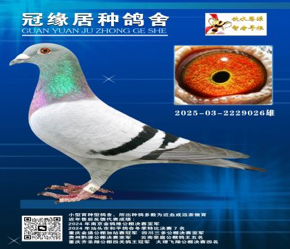 ͬĸѪһS䌦-03-2229026
