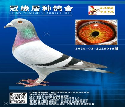 240俼ɣʿ03-2229016