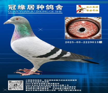 ĸyQِ(zhn)Ŀ03-2229013