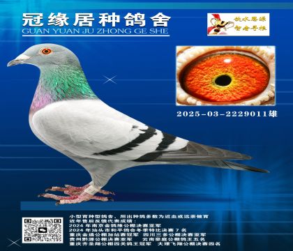 (zhn)Ŀ-03-2229011