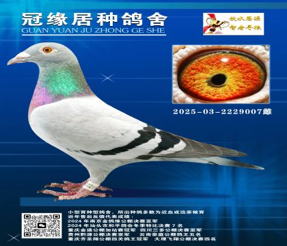 ҶؽH2025-03-2229007