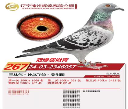 267