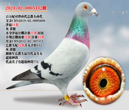御林軍百萬(wàn)配對(duì)曾孫代×總教頭孫代