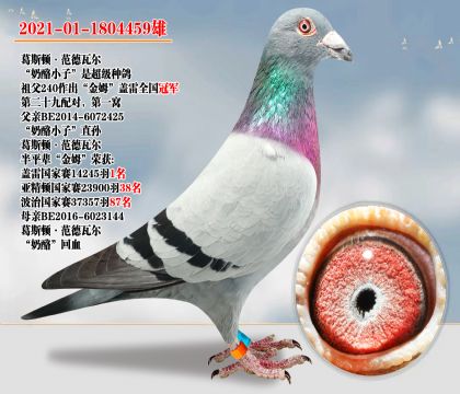 奶酪小子直孫×葛斯頓.范德瓦爾 奶酪回血