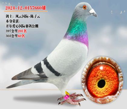 開爾愛心公棚 300公里60名