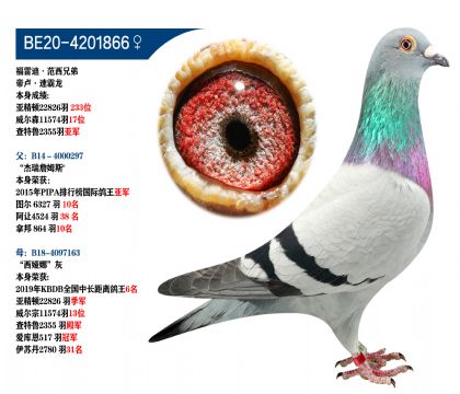 ׵ϡֵܵ۱Rٰ
