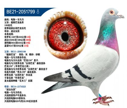 Ѫy(tng):X-R H:(j)Ѫϵ199