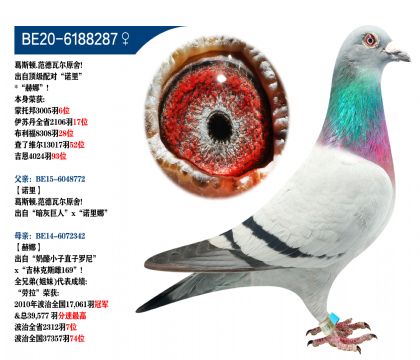 ˹Dߠԭ!피(j)䌦(du)