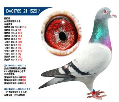  ^˹Ѫϵ
