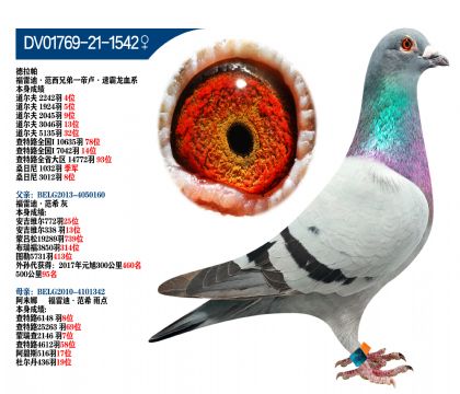  ׵ϡֵ-۱R԰Ѫϵ