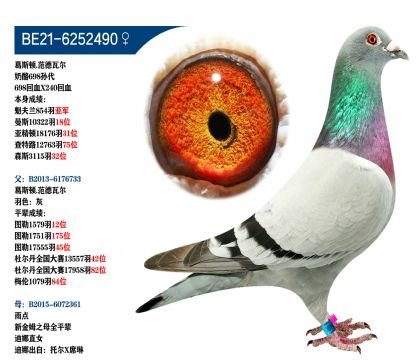 ˹D.ߠ698O