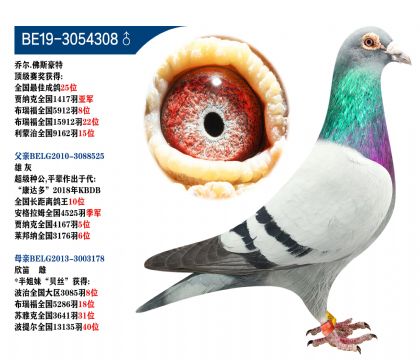 ̠.˹ 피(j)ِ