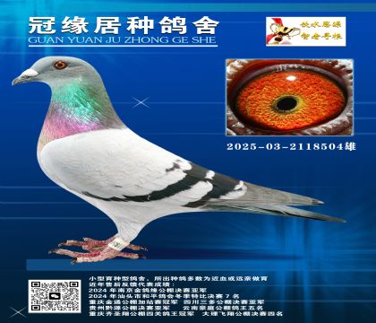һѪ俼Ӣ˹03-2118504