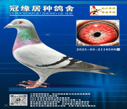 (zhn)Ŀ350Ů03-2118509