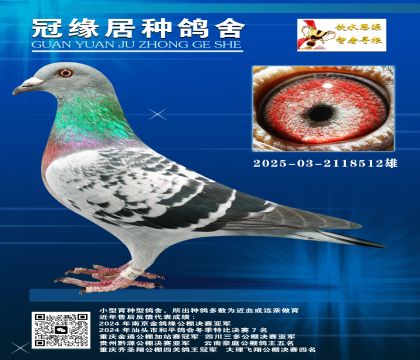 һNֱOŮ03-2118512ƣ